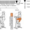 ハイブリッドトレーニングに関する研究成果が『European Journal of Applied Physiolo