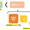 EMSを使った効果的なダイエット方法：筋肉を増やして脂肪を燃焼させよう - ヨロズイド